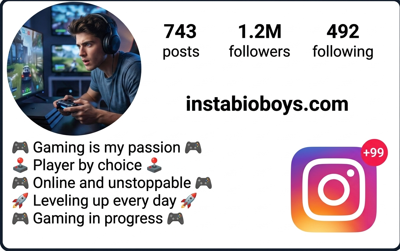 Instagram Bio For Boys 